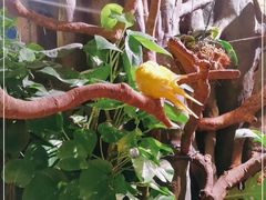 -正佳雨林生态植物园