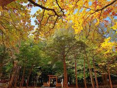 -北海道神宫