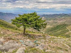 -灵山