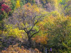 -九如山休闲旅游度假区