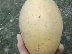 -绿叶水果(长沙蔡锷路店)