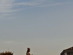 -阳澄湖半岛旅游度假区