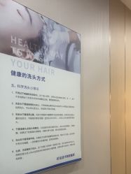 -碧莲盛不剃发植发