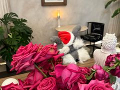 -玲婧胡同·生日蛋糕·餐厅(嘉里城店)