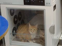 -瑞鹏宠物医院