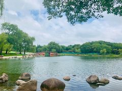 -东方绿舟景区