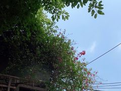 -火炉山森林公园