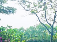 -尚贤河湿地