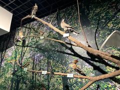 -北京麋鹿生态实验中心