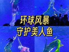 -海合安武汉极地海洋公园
