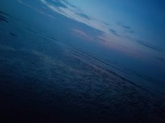 -南汇新城海滩