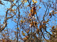 -青岛崂山太清宫