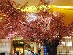 -大江户·温泉洗浴(浑南店)