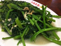 腐乳空心菜-陈光记烧腊(长寿路店)