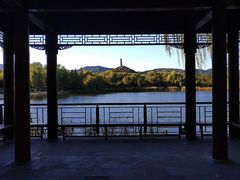 -北坞公园
