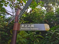-深圳仙湖植物园