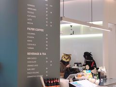 -Seesaw Coffee(上海国金中心店)