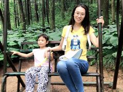 -洛阳白云山景区