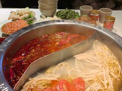 -朱氏胖子烂火锅(洪崖洞店)