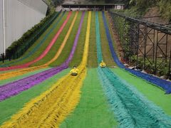 -梦幻奥陶纪景区