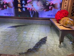-胖姐渔村(中源大道店)