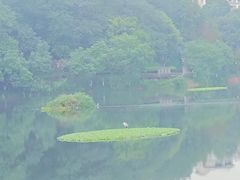 -重庆彩云湖湿地公园