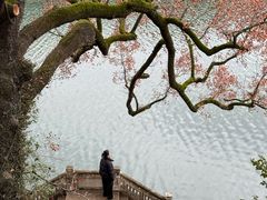 -蒋氏故居