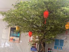 -新天明砂锅鱼头煲