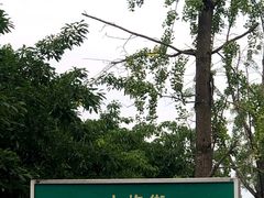-江油特色冷沾沾(火炮街店)