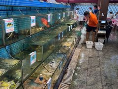 水产区-范饭椰林川湘味海鲜·椰子鸡(三亚湾椰梦长廊店)