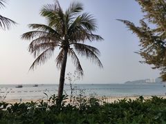 -巽寮湾