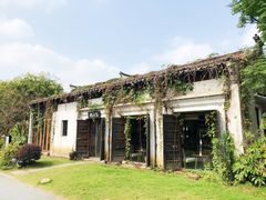 -田园东方蜜桃村的田野营地
