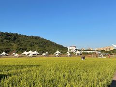 -风云岭森林公园