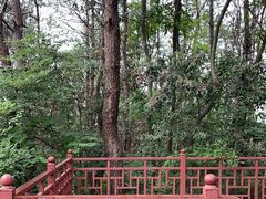 -青龙山国家森林公园