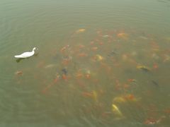 -北京小汤山医院体检中心