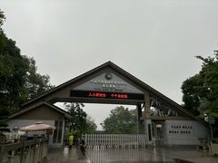 -中国大熊猫保护研究中心雅安碧峰峡基地