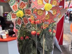 -越秀西湖花市(广州城市广场花卉店)