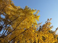 -苏州河梦清园环保主题公园