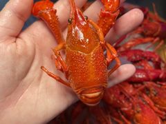 -虾乐园龙虾·夜宵(松江店)