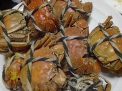 -京华世纪酒店·潮苑大酒楼(益华百货店)