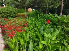 -长白岛森林公园