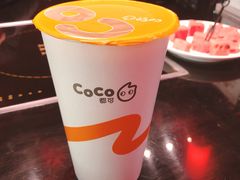 青稞奶茶-CoCo都可(盐城宝龙城市广场店)