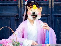 -白鹿原影视城