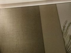 -九间泰·泰式古法按摩SPA(环贸iapm店)