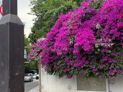 -长药唐师乐山油炸(石人直营店)