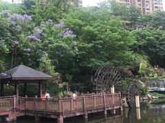 -重庆彩云湖湿地公园