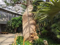 -北京植物园-展览温室