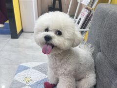 -瑞派·爱瑞可动物医院·口腔专科(广华新城分院)