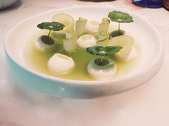 -Tomacado花厨(One ITC店)