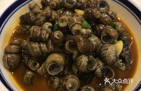 Spicy Snail
